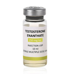 Testosterone Enantato 10 ml 250 mg/ml