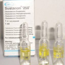SUSTANON (SUSTANON 250 - PAKISTAN) Organon for BodyBuilding