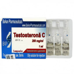 Testosterona C Balkan Pharmateucals for BodyBuilding
