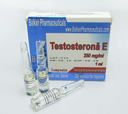 Testosterona E Balkan Pharmateucals for BodyBuilding
