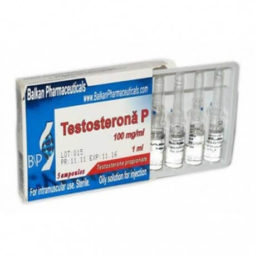 Testosterona P Balkan Pharmateucals for BodyBuilding