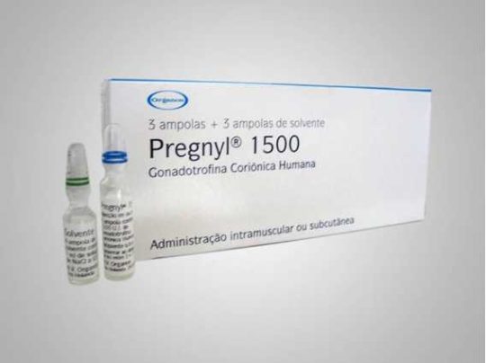 pregnyl-1500-iu-organon for BodyBuilding