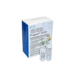 pregnyl-5000-organon for BodyBuilding