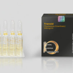 Trebolon enantato Trenoid 100mq/ml