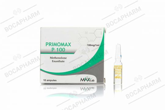MAXLAB PRIMOMAX P 100