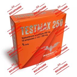 Phoenix Laboratories TESTOMAX 250 (Testosterone Enanthate)