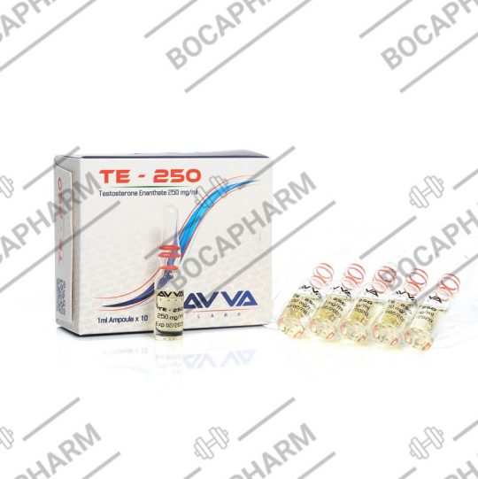 AVVA TE-250 Testosterone Enanthate 250mg/ml 1ml Ampoule X 10