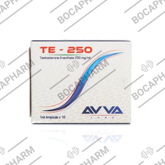 AVVA TE-250 Testosterone Enanthate 250mg/ml 1ml Ampoule X 10