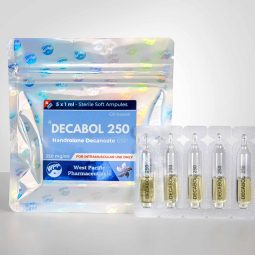 WPP DECABOL 250 (Nandrolone Decanoate) 5amp x 1ml 250mg/ml