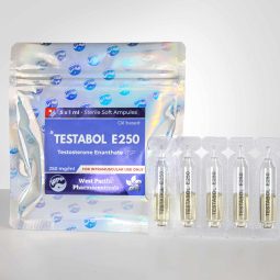 WPP TESTABOL E250 (Testosterone Enanthate) 5amp x 1ml 250mg/ml